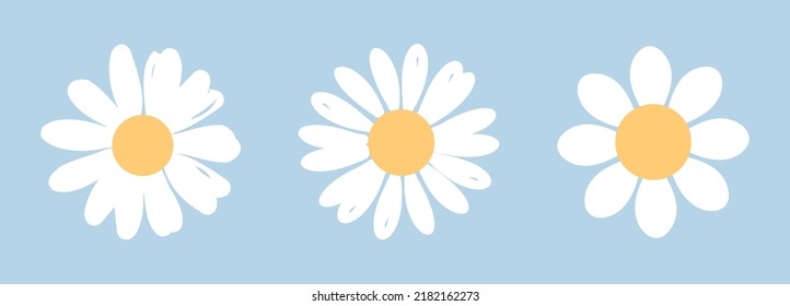 Set of daisy flower on blue background vector illustration.