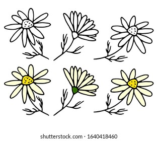 Set of daisy flowers or chamomile in the doodle style for use as design elements. Simple, concise, linear black on a white background and colored.