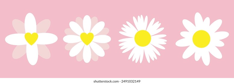 Conjunto de iconos de flores de margarita aislados en Ilustración vectorial de fondo rosa. EPS10