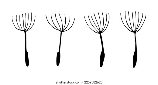 Set of dandelion blow ball seeds. Floral elements. Outline ink drawing. Can be used for textile, wallpaper, pattern. Isolated vector and PNG illustration on transparent background.