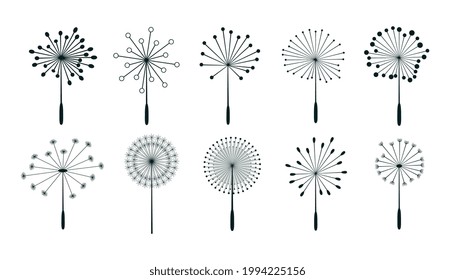 set of dandelion flower seeds design