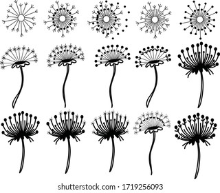 A Set of dandelion icons suitable for any nature content with doodle cartoon style