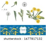 Set of dandelion wild flower elements and decorative frame. Invitation, hello, spring, greeting, banner, with the wishes of a happy spring in the center.