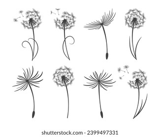 Set of dandelions with flying fluffy seeds. Sketch, black and white illustration, vector