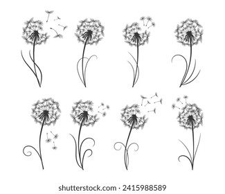 Set of dandelions with flying fluffy seeds. Sketch, black and white illustration, vector