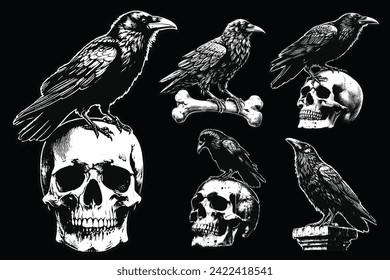 Set Dark Art Crows Raven Bird with Skull and Bones Grunge Vintage Old School Style illustration for Merch