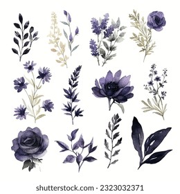 Set of dark black floral watecolor. black flower, black leaves. Floral poster, invitation floral. Vector arrangements for greeting card or invitation design