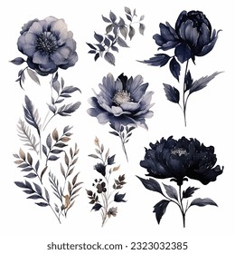 Set of dark black floral watecolor. black flower, black leaves. Floral poster, invitation floral. Vector arrangements for greeting card or invitation design