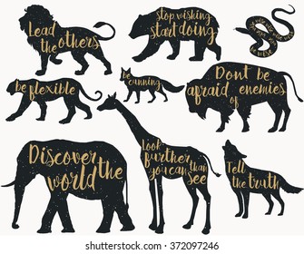 set of  dark grey Silhouettes of wild animals grey background