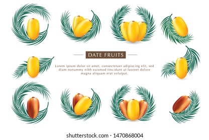 Set Date Fruit With Leaf Palm For Product Brand.