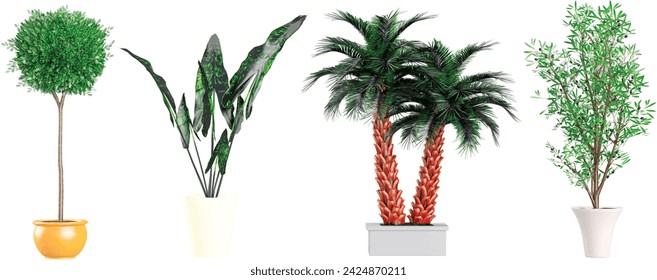 Set of Date palm,Alocasia,Myrtle,Olive plants in pots isolated on white background Pro Vector