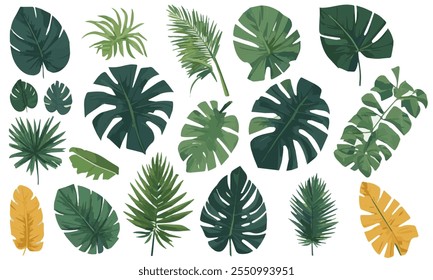 Set daun tropis dan daun palem depan ilustrasi vektor. Ikon daun diatur rapi pada ilustrasi vektor latar belakang putih. Vegan, pohon, tanaman, segar, energi dan konsep nutrisi yang sehat.