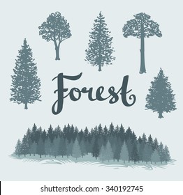 Set of the deciduous and the coniferous isolated hand drawn trees. Landscape of a coniferous forest. Vector Forest background.