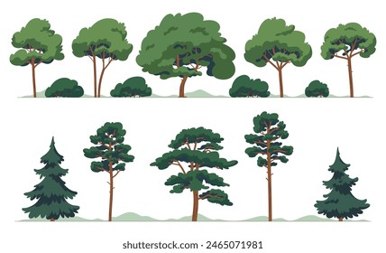 A set of deciduous and coniferous trees. Cartoon plants. Forest with trees in cartoon style. Vector illustration