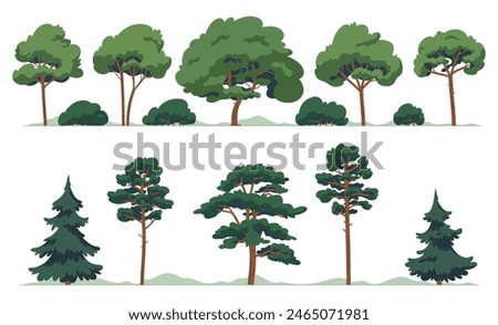 A set of deciduous and coniferous trees. Cartoon plants. Forest with trees in cartoon style. Vector illustration