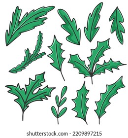 Set deciduous and spruce twigs for winter decor clipart. Hand drawn botanical elements isolated vector illustration. Bunch branches of spruce, pine, fir, holly