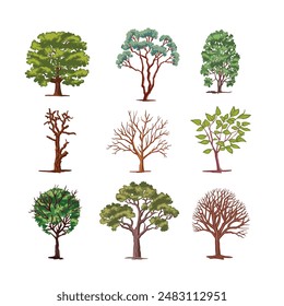 Set of deciduous trees. color illustration