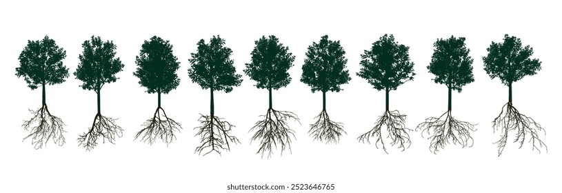 Set of deciduous trees with root systems. Vector illustration