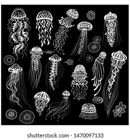 Set of decorated Jellyfishes black white sketch illustration vector
