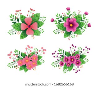 set of decoration flowers with branches and leafs vector illustration design