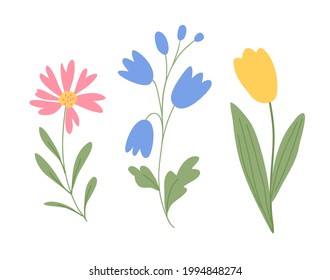 Set of decorative abstract color wildflowers with green leaves isolated on white. Vector illustration. Vintage flowers for Mother's day decoration.