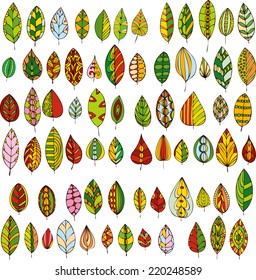set of decorative abstract leaves, hand drawn design elements