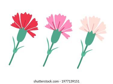 Set of decorative abstract red and pink carnation with green leaves isolated on white. Vector illustration. Vintage flowers for Mother's day decoration.	