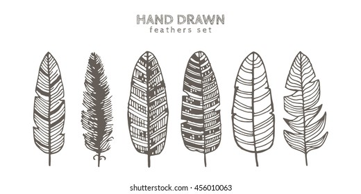 Set of decorative animals feathers. Ink illustration. Isolated on white background. Hand drawn vector art.