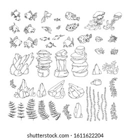 set of decorative aquarium elements, goldfish, shell, rock, puffer, neon, jellyfish, algae, vector illustration with black contour lines isolated on white background in Doodle and hand drawn style