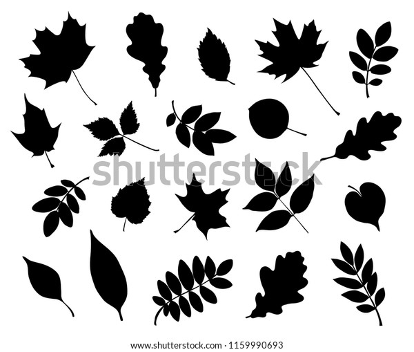 Set Decorative Autumn Leaf Silhouette Vector Stock Vector (Royalty Free ...