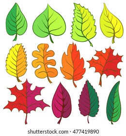 Set of decorative autumn leaves with different bright colors isolated on white background. Vector elements for your design.