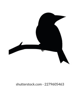 Set of decorative bird silhouettes. Vector illustration. Birds flying and sitting
