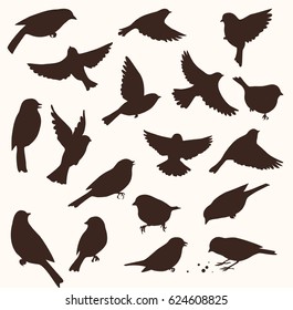 Set Of Decorative Bird Silhouettes. Vector Illustration. Birds Flying And Sitting