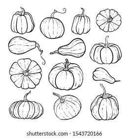 Set Decorative Black White Pumpkins Hand Stock Vector (Royalty Free ...