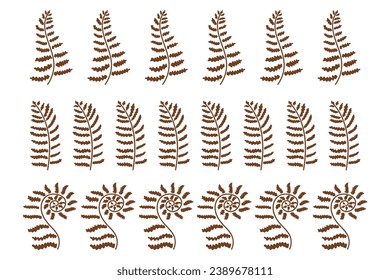 Conjunto de bordes decorativos hechos de hojas de helecho. Elementos para su diseño. Ilustración vectorial aislada en fondo blanco.