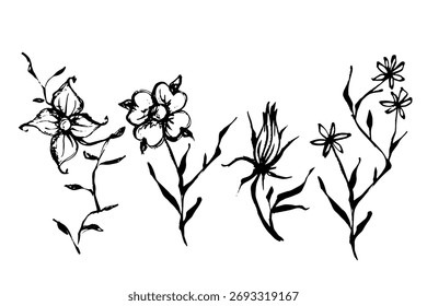 Un conjunto de flores de doodle botánico decorativo. Gráficos de Vector.