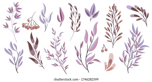 Set of decorative branches and leaves. Collection of design elements for decoration. Vector illustration.