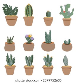 Set of decorative cacti and succulents in clay pots on a white background. Flat vector illustration. EPS 10.