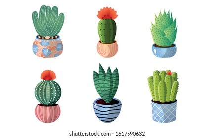 Set of decorative cactuses in pots with spines and blooming flowers. Vector set illustration in flat cartoon style.