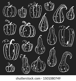Set of decorative chalk pumpkins in blackboard. Thanksgiving background. Hand drawn vector autumn illustration. Harvest.