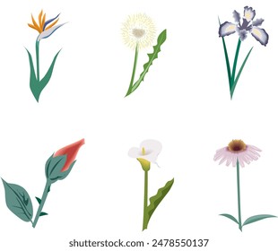 Conjunto de flores de colores decorativos Vector