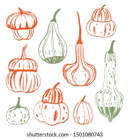 Set of decorative colorful pumpkins. Hand drawn sketch vector autumn illustration. Thanksgiving Day. Logotype. Holiday background. Harvest.