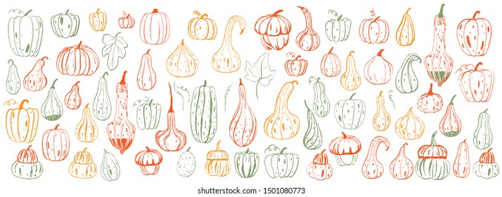 Set of decorative colorful pumpkins. Hand drawn sketch vector autumn illustration. Thanksgiving Day. Logotype. Holiday background. Harvest.