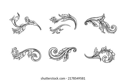 Set of decorative curled leaves, floral ornament in black lines vector illustration