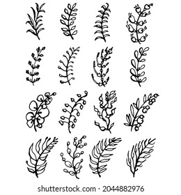Eine Reihe von dekorativen Doodle Äste. Verbreitung von Blumen und Pflanzen.Schatten und Silhouette.Schwarze grafische Linie.Ornamente, Striche und Gürtel.Kreieren Geschenke, Verpackung. Eine Maske in einem digitalen Design.