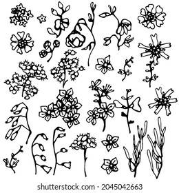 A set of decorative doodle flowers. Sublimation of flowers and leaves. Shadow and silhouette.Black graphic line.Ornaments, strokes and curls.Making gifts, packaging. A mask in a digital design.