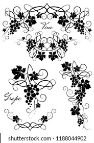 Set of decorative element from the vine on a white background. Branch of grapes. Vector illustration.