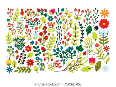 Set of decorative elements with flowers and branches. Vector illustration