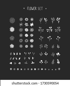 Set of decorative elements on a black background. Imitation of a drawing on a blackboard. Hand-drawn flowers, leaves, branches and berries. A collection for creating your own design. Eps 10, vector