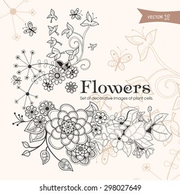 set of decorative elements of plant images